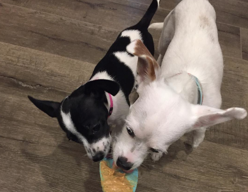 17 Things To Do Instead Of Watch TV