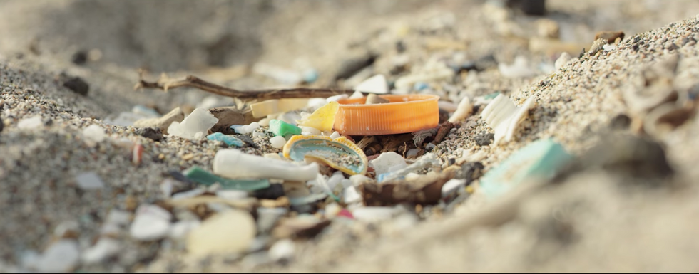 Plastic Harms Our Environment, And It's Time To Do Something About It