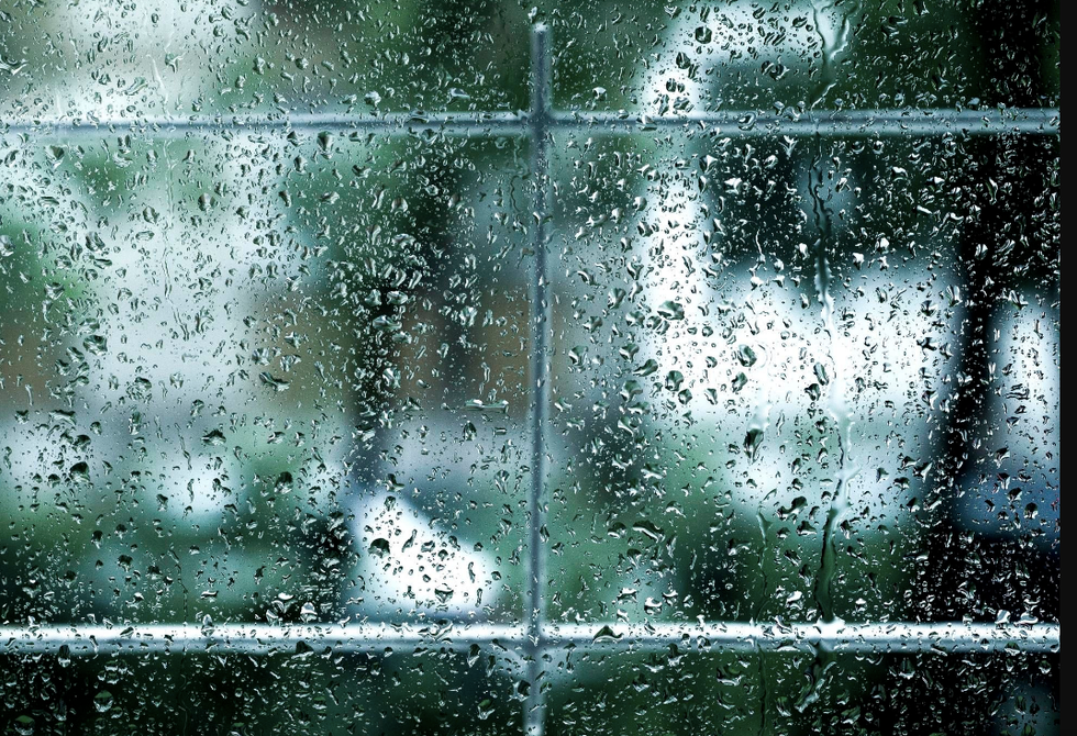 5 Ways To Make The Most Out Of A Rainy Day