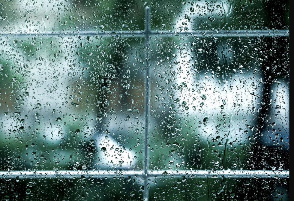 5 Ways To Make The Most Out Of A Rainy Day