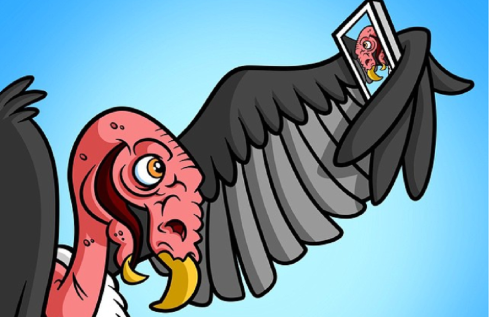 I'm Coming For You, Vulture!