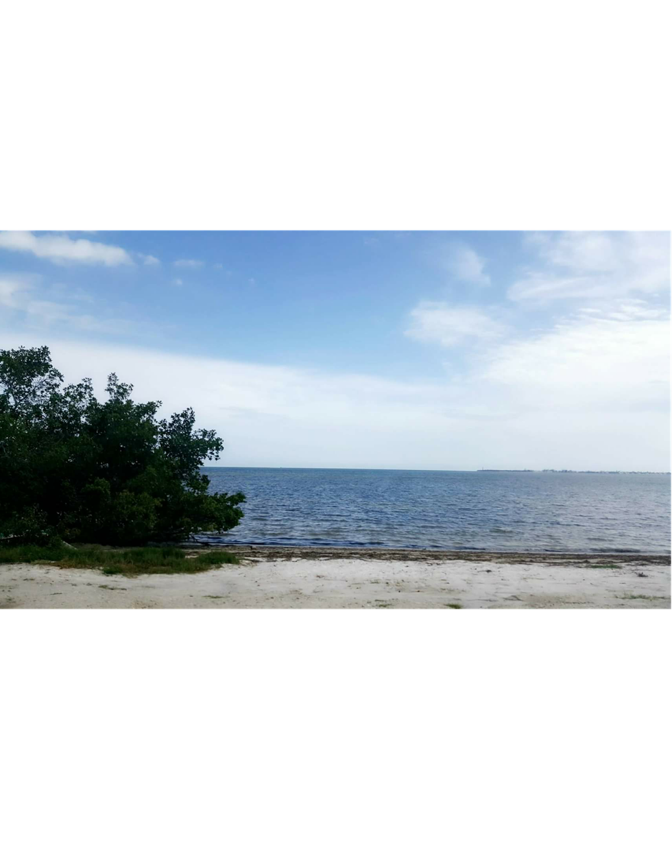 Dear Loud and Proud Members of Women Shaming Society,