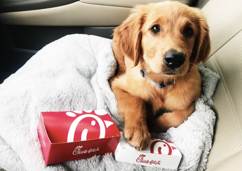 3 Greasy Restaurants In The South That Everyone Needs In Their Life