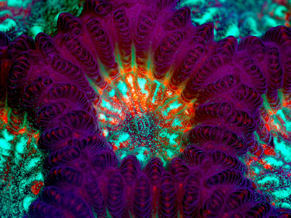 Connections Between Philosophy And Psychology Part 2