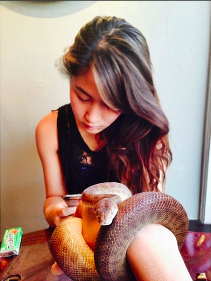 5 reasons why snakes are the best pets