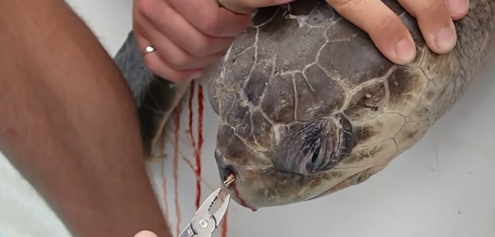 5 Ways To Find Your More Sustainable Self