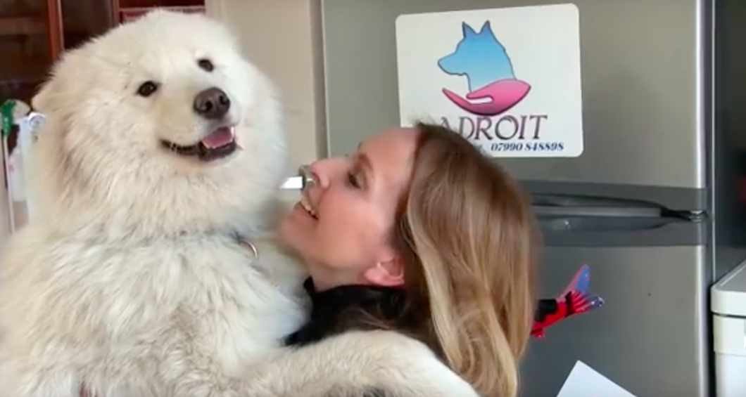 15 Things College Girls Will Say *Out Loud* To Their Dogs After Being Reunited