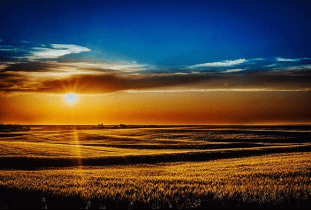 8 Reasons Kansas Isn't So Bad