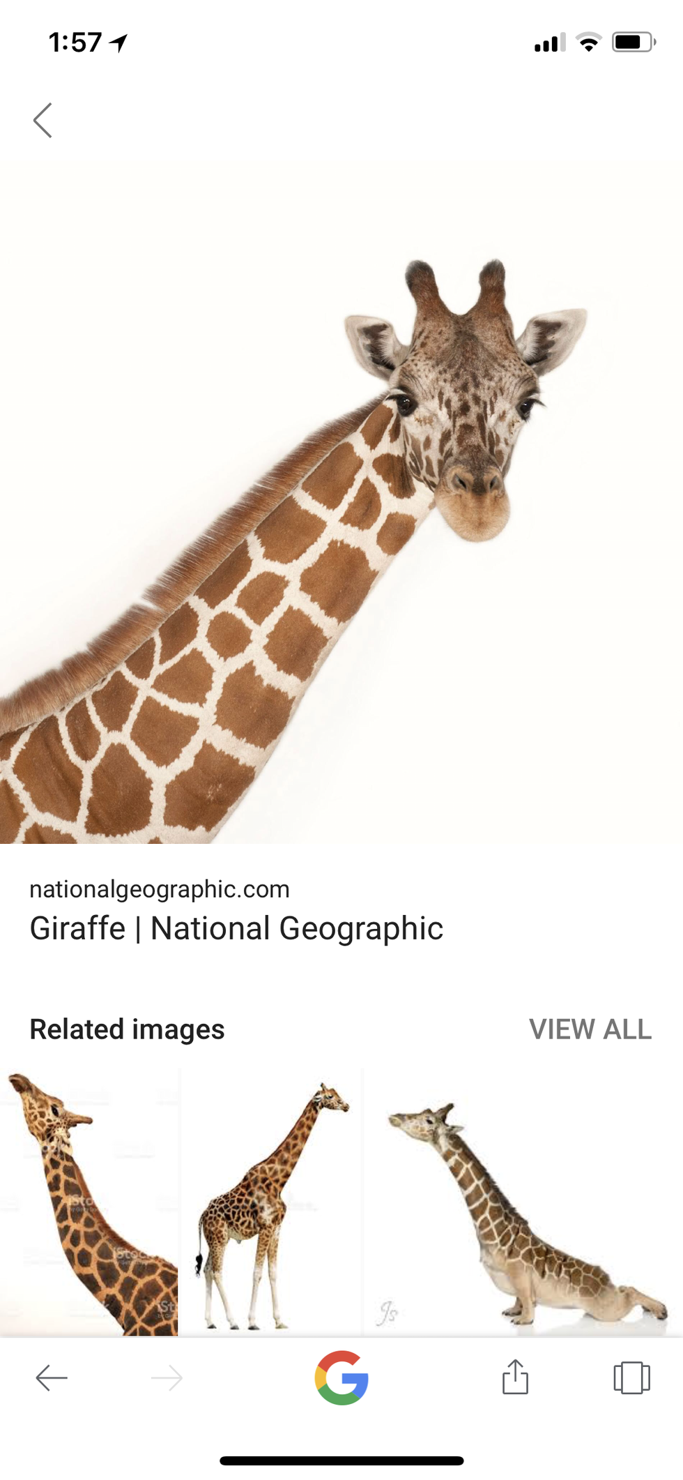 My blind date experience