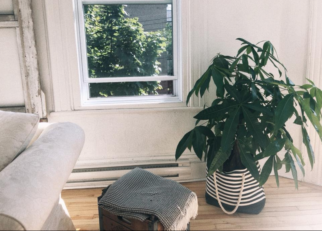 attention all traveling enthusiasts–you should strongly consider Using Airbnb your next trip