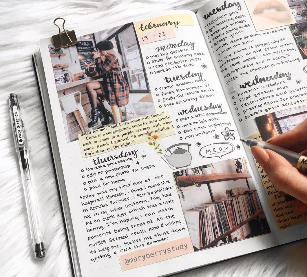 The 5 Planners You Should Consider Getting This Fall