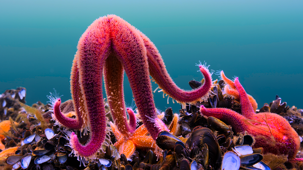 Next Time You Run Out Of Sitcoms To Watch, Add Documentaries To Your Queue