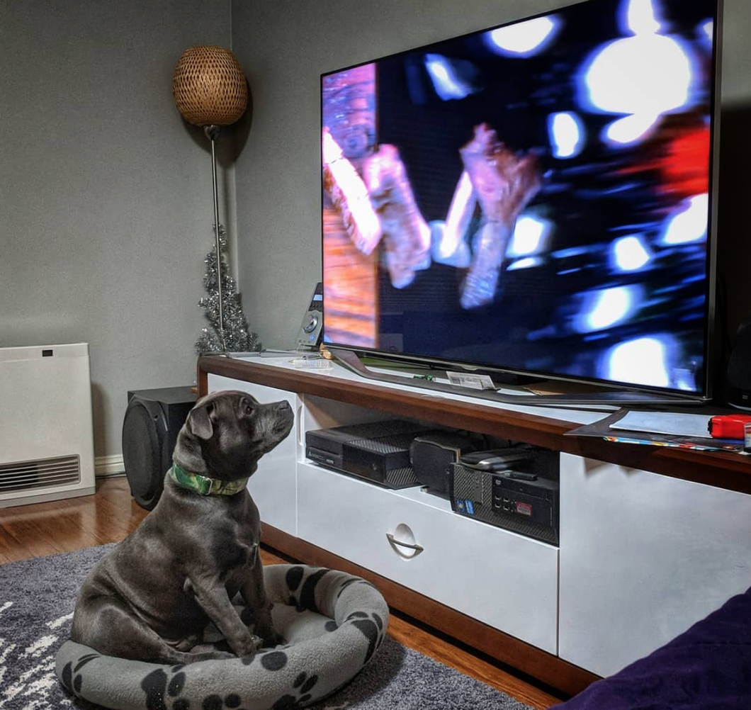 The Correct Way To Binge Watch A Series When You Work 40 Hours A Week