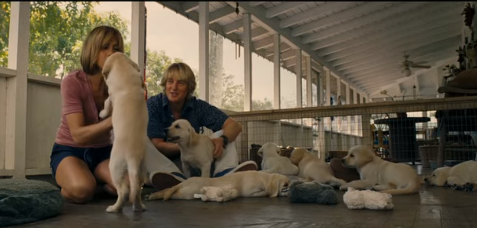 13 Pop Culture Pups That Steal Our Dog-Loving Hearts Every Time They're On-Screen