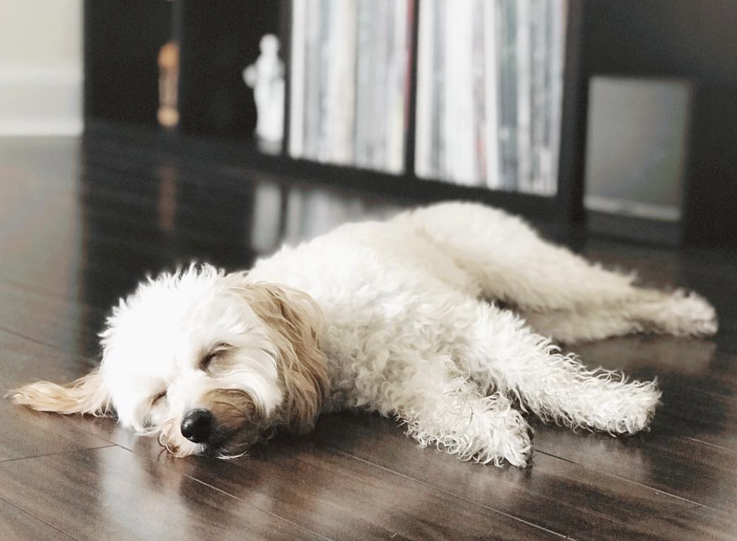 12 Easy Ways To Procrastinate If You Lack Inspiration