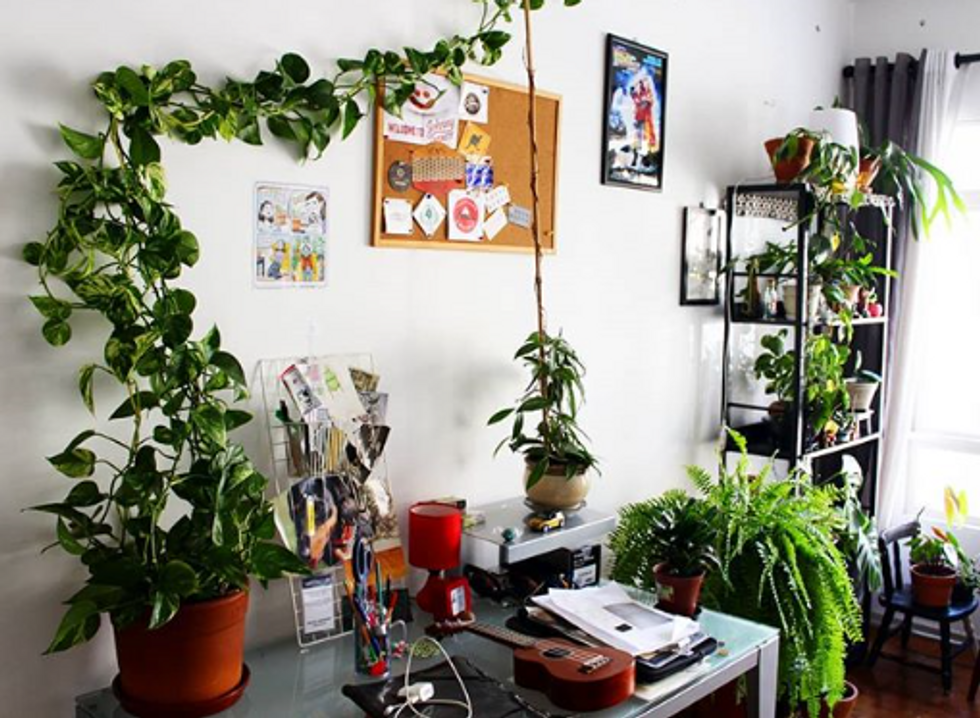 10 Ways To Be Green, And Save Some Green, In A College Apartment
