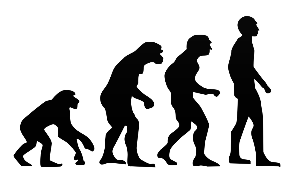 All High Schools Should Teach Evolution If They Want Their Students To Succeed