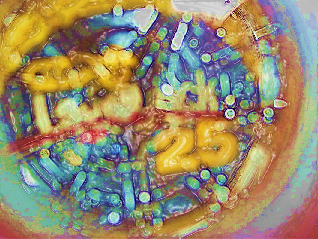 Do We Learn New Topics Or Explore Pre-Existing Ones?