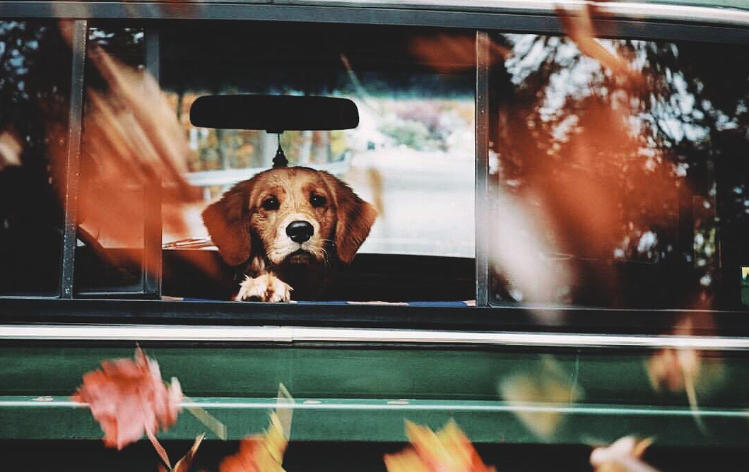 13 Reasons Fall Is The Best, Whether Or Not You're A Basic White Girl