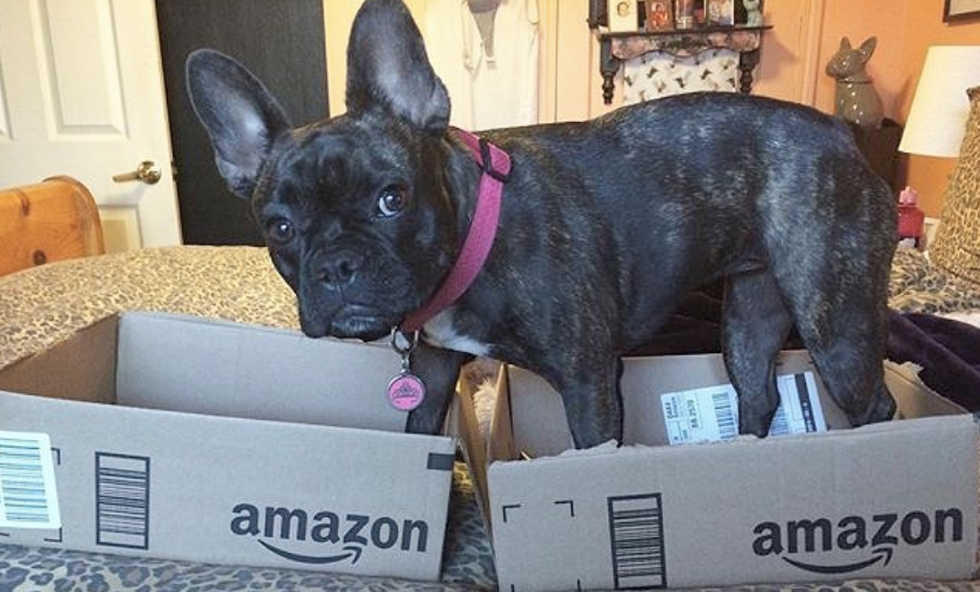 5 Reasons That Every College Student NEEDS An Amazon Prime Account