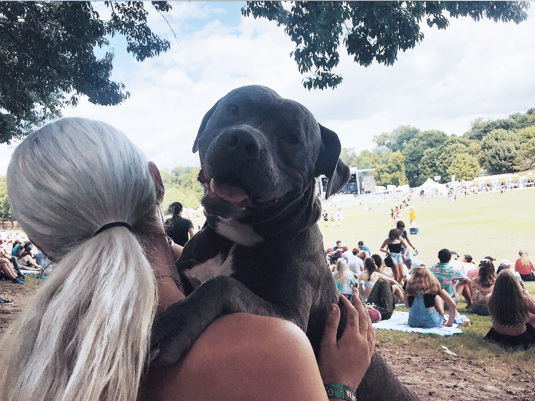 10 Crazy Things You Hear When You Take Your Service Dog To A Music Festival