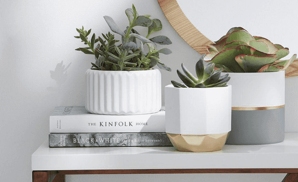 19 Adorable Amazon Products That Every Basic College Girl Will NEED In Their Lives