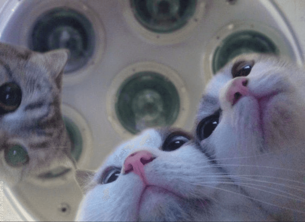 46 Jokes To Read When You Just Need A Little Giggle