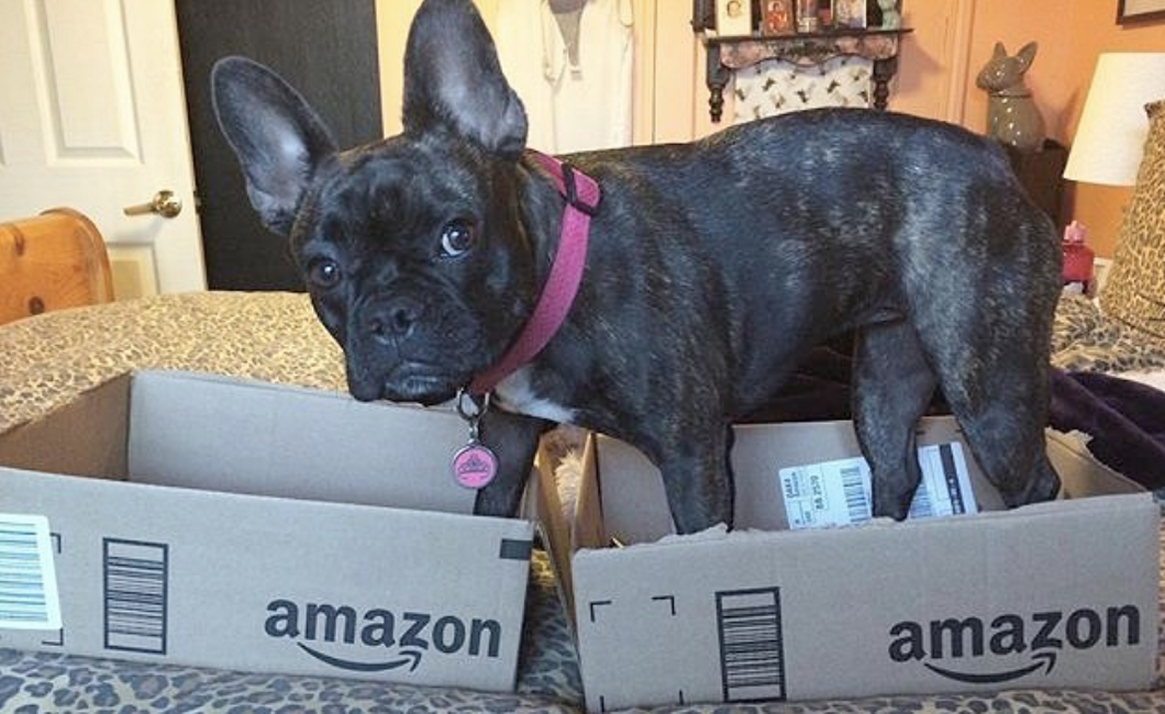 10 Reasons Every College Student Needs An Amazon Prime Account