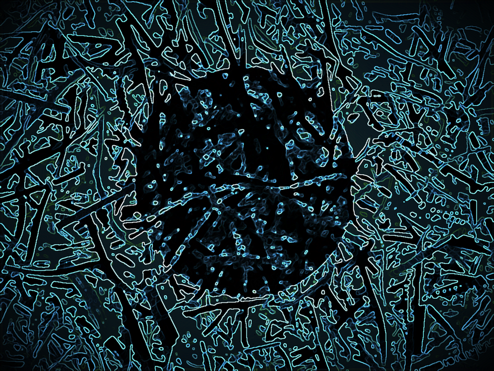 Do We Really Know The World Around Us?