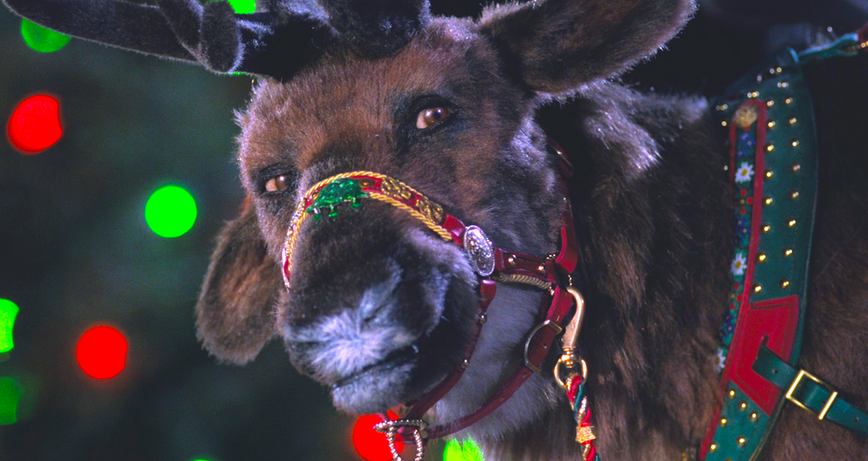 If Your Zodiac Sign Was One of Santa's Reindeer