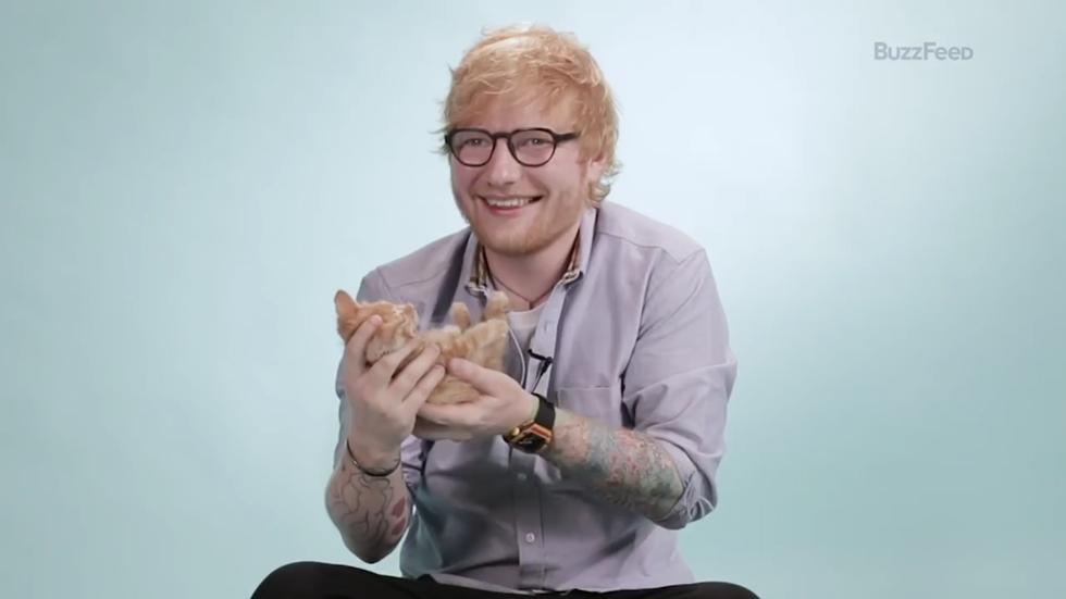 12 Famous People You Might Not Have Known Were Cat-Lovers