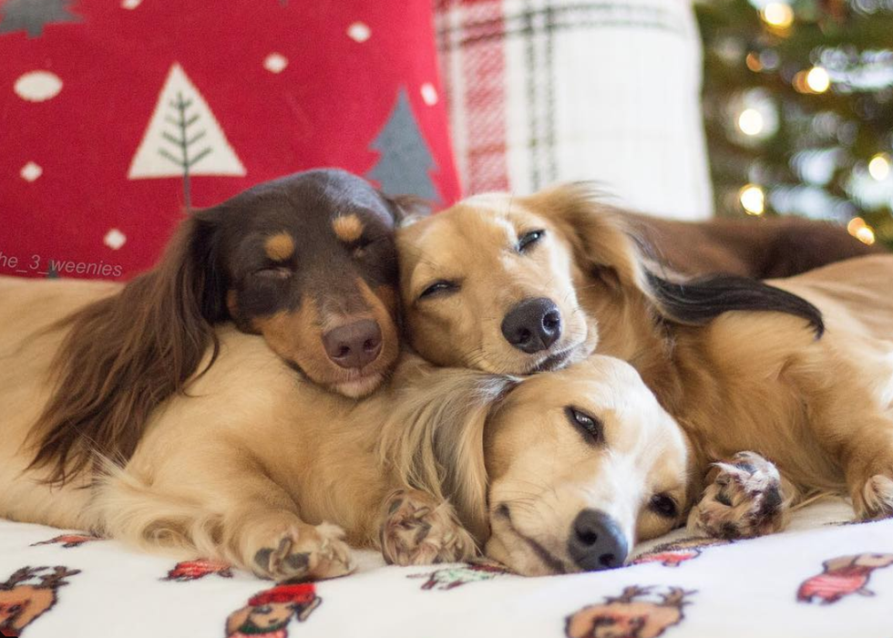 10 Best Christmas Gifts For Every Teenager In Your Life