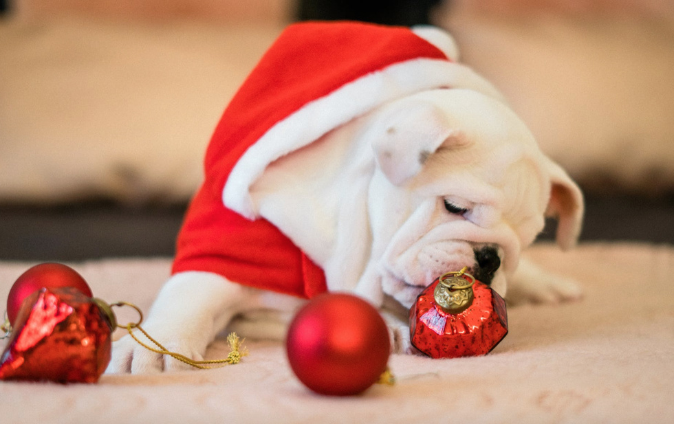 15 Things To Be Extra Happy About This December