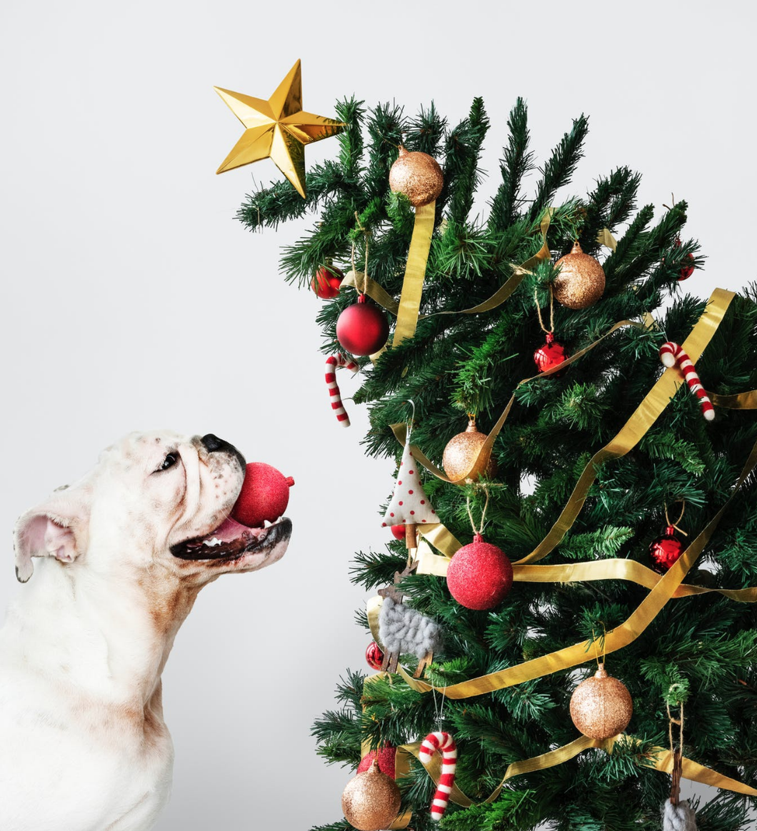 9 Awesome Techy Christmas Gifts To Get Your Friends and Family This Holiday Season