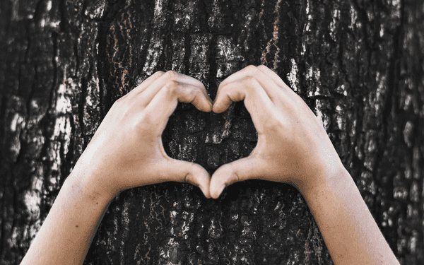 Being Eco-Friendly Should Be 1 Of The First Things We Teach Today's Children, Here Are 10 Simple Ways To Do It