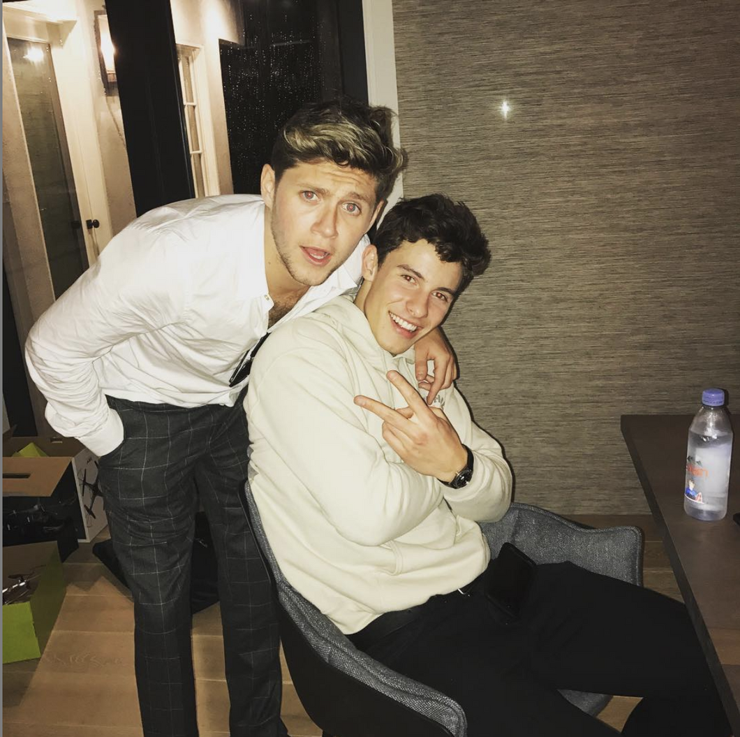 A Niall Horan And Shawn Mendes Collab Is On The Way