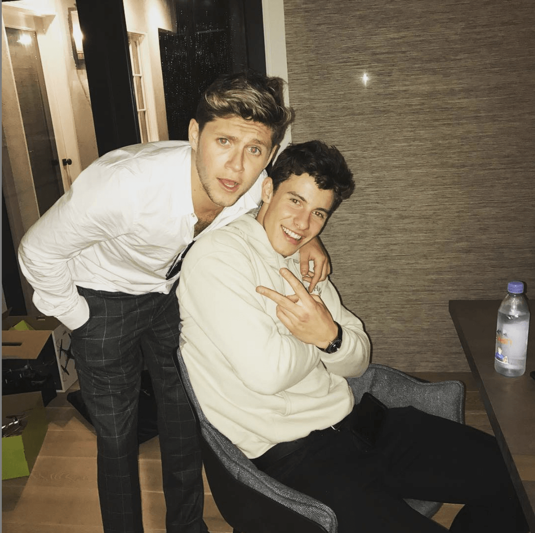 A Niall Horan And Shawn Mendes Collab Is On The Way | The Odyssey Online