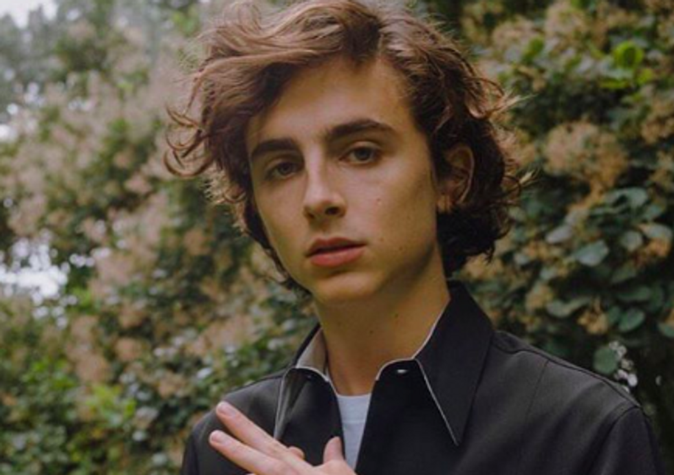 Timothée Chalamet Is Redefining Masculinity And Fueling The Allure Of Vulnerability