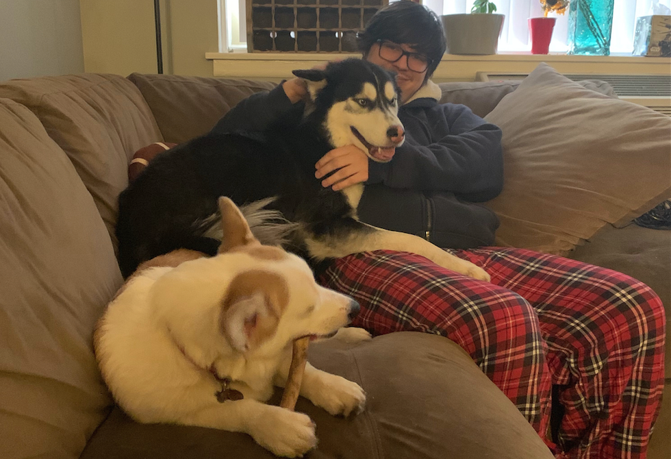 I Spent The Whole Day With Dogs And It Was The Best Thing Ever