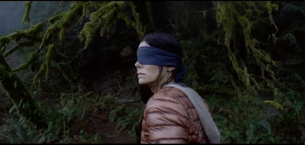 Netflix's 'Bird Box' Is A Poorly Cast Disaster