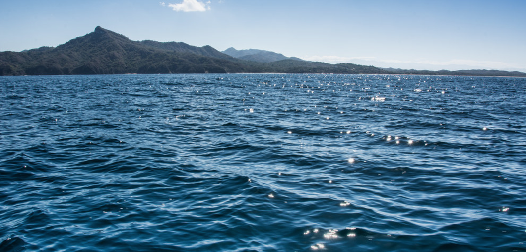 5 Reasons You Should Want To Save The Oceans