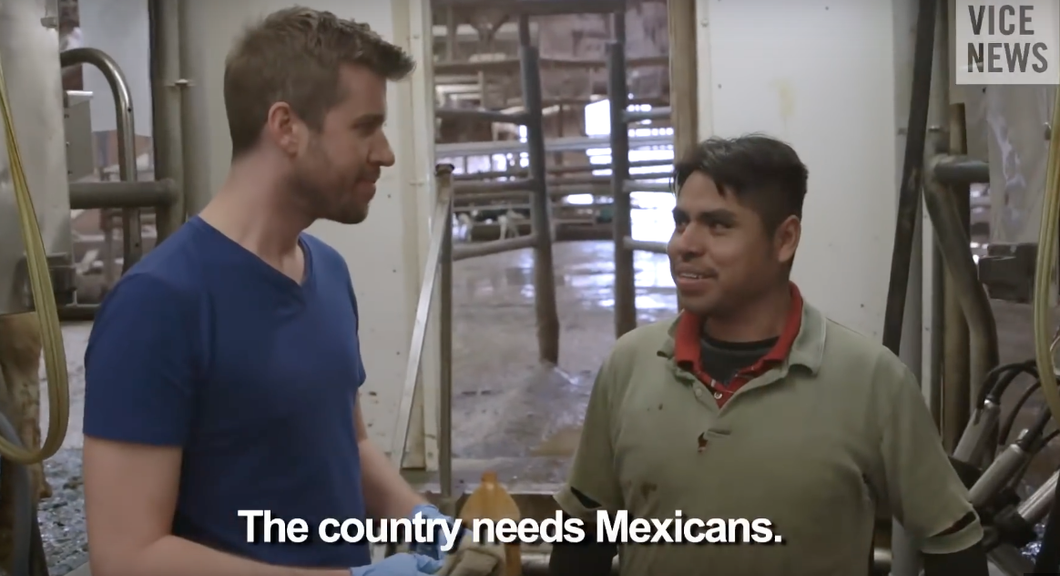 Thank Illegal Immigrants For Your Meat And Dairy