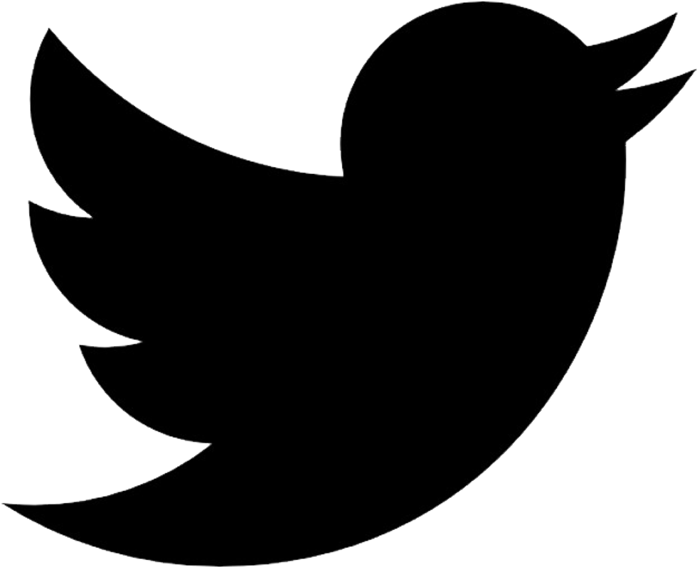 Black Twitter VS. Demi Lovato