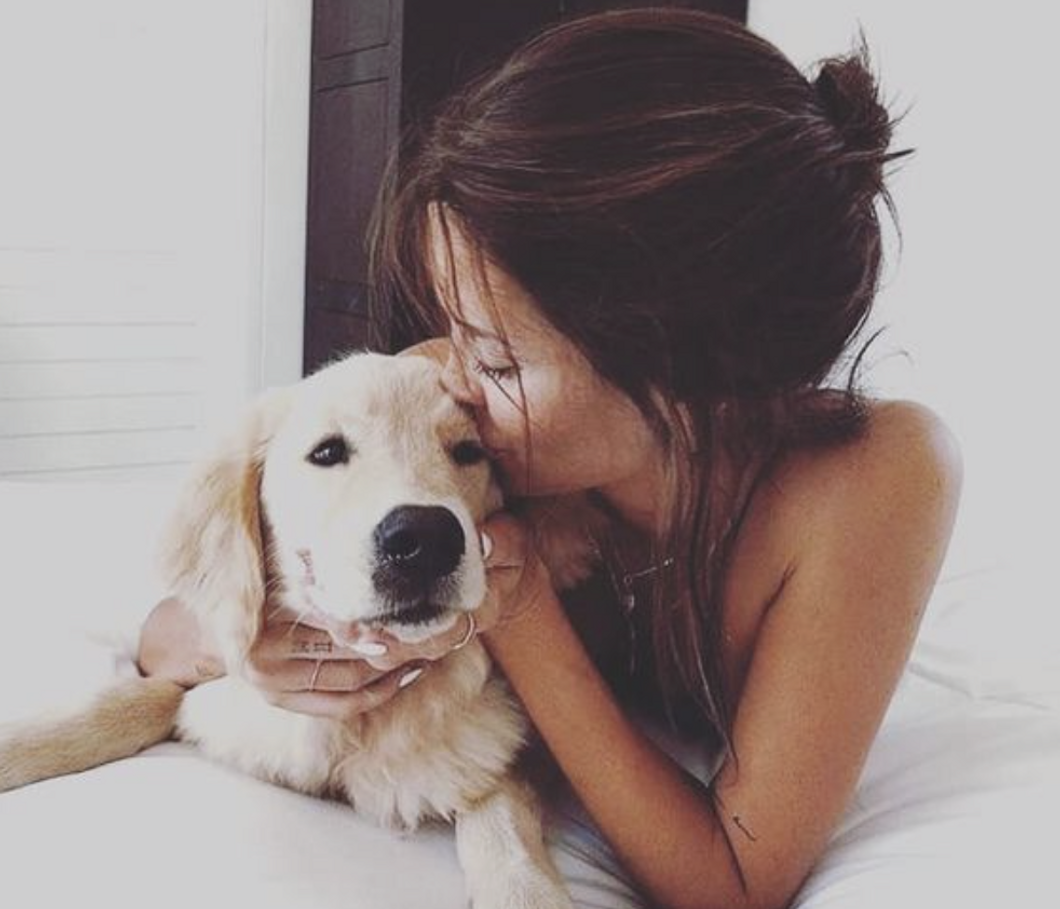 8 Reasons Why Being In A Relationship Is The Same As Having A Dog