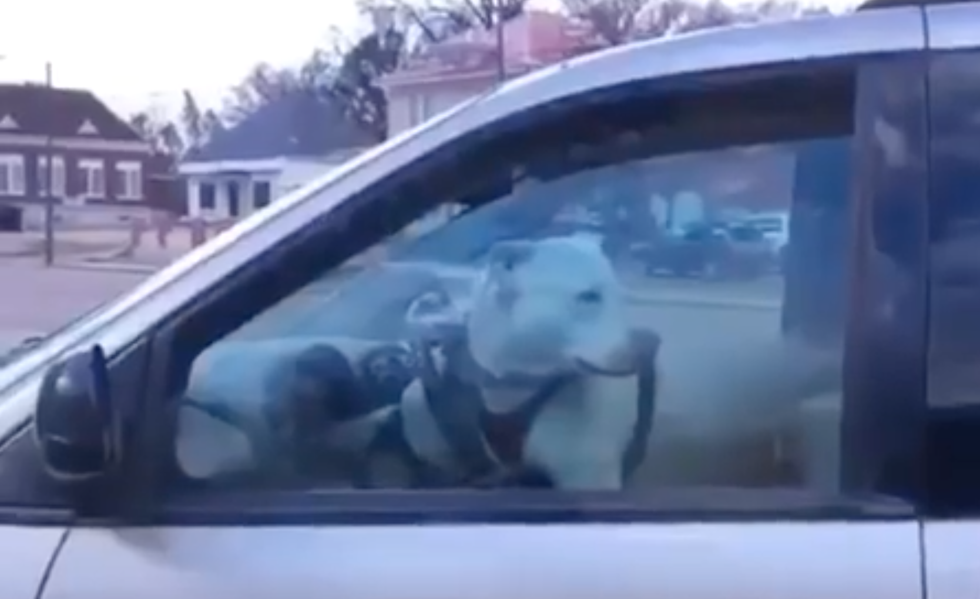 53 Vines Real Fans Still Reference On A Daily Basis In 2019