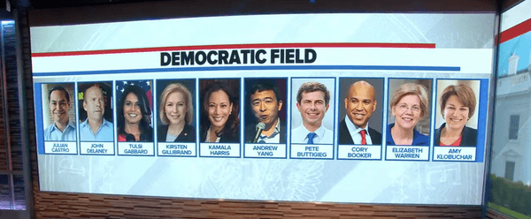 Should Voters Be Trying To Elect A Moderate Or Progressive Democratic Candidate?