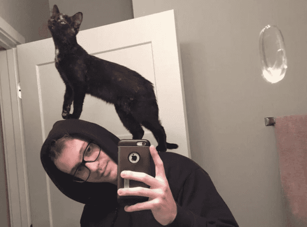 21 Subreddits That You Didn't Know Existed