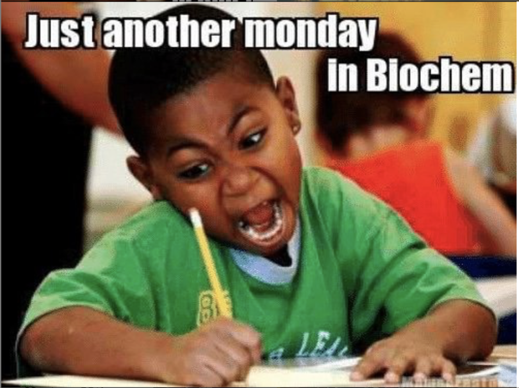 10 Truths of Being a Science Major