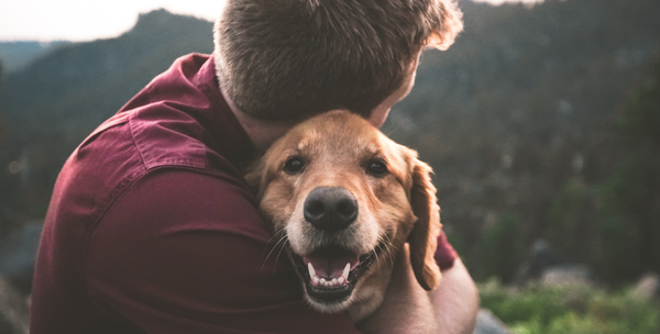 12 Reasons Every College Student Needs A Dog