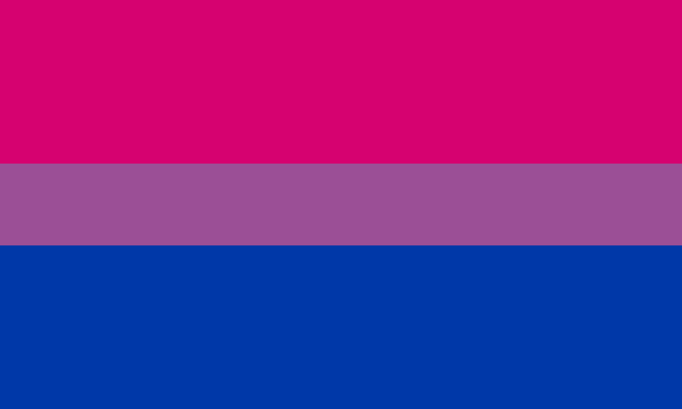 Bisexuals aren't Straight. You're Just Biphobic.